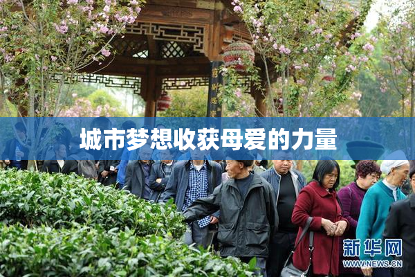 城市梦想收获母爱的力量