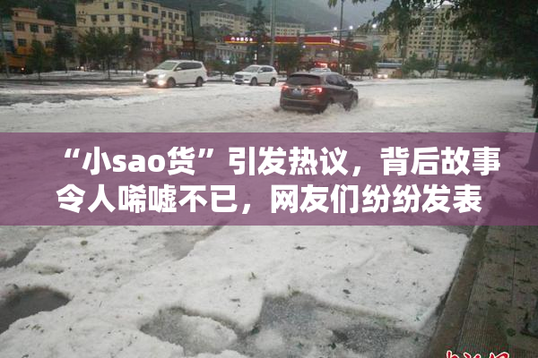 “小sao货”引发热议，背后故事令人唏嘘不已，网友们纷纷发表看法。