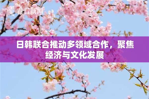 日韩联合推动多领域合作，聚焦经济与文化发展