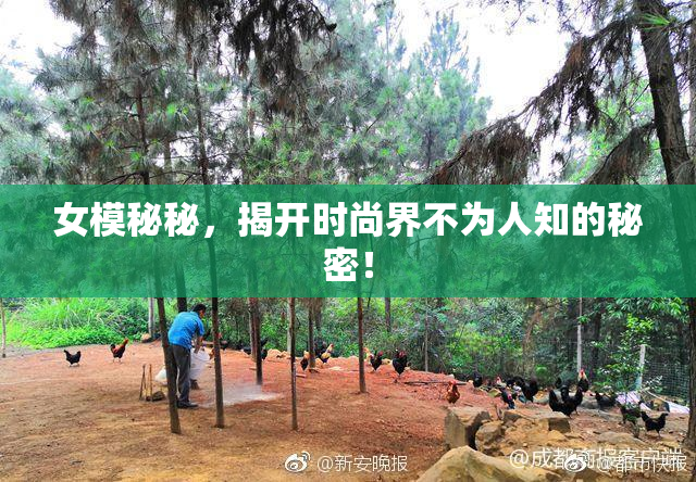 女模秘秘，揭开时尚界不为人知的秘密！