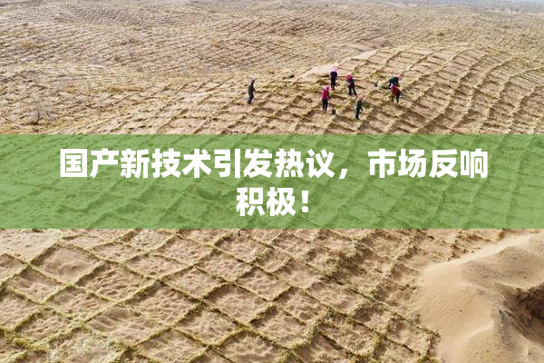 国产新技术引发热议，市场反响积极！