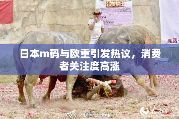 日本m码与欧重引发热议，消费者关注度高涨