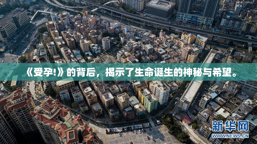《受孕!》的背后，揭示了生命诞生的神秘与希望。