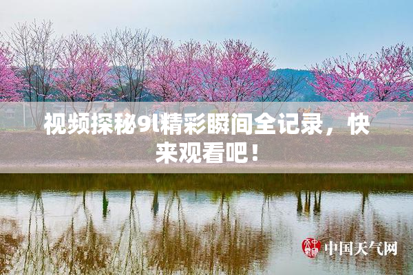 视频探秘9l精彩瞬间全记录，快来观看吧！