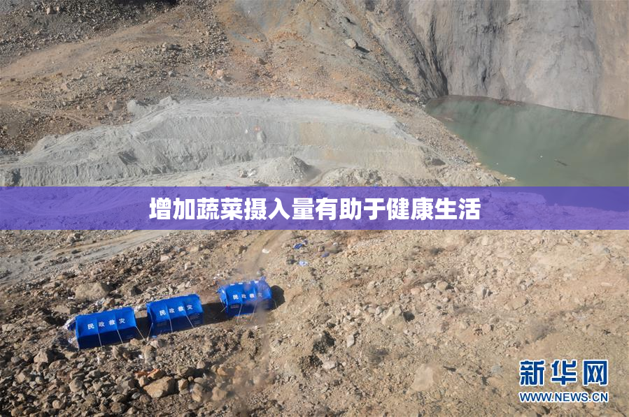 增加蔬菜摄入量有助于健康生活