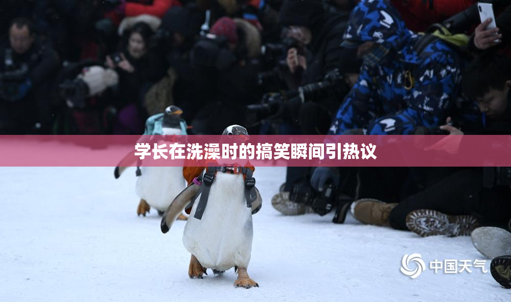 学长在洗澡时的搞笑瞬间引热议