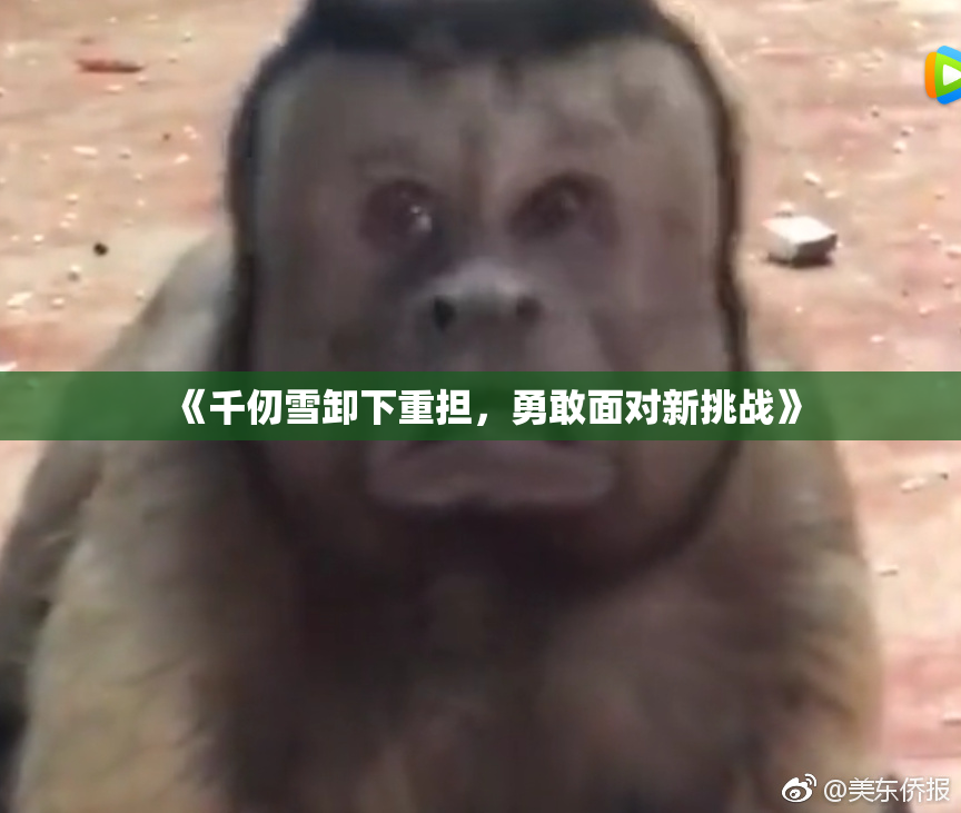 《千仞雪卸下重担，勇敢面对新挑战》