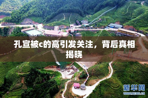 孔宣被c的高引发关注，背后真相揭晓
