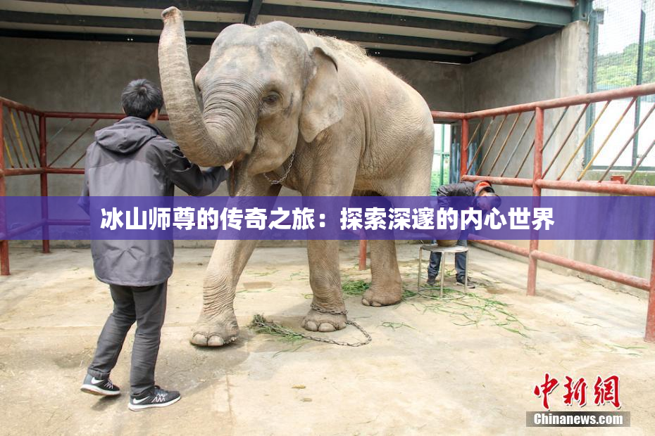 冰山师尊的传奇之旅：探索深邃的内心世界