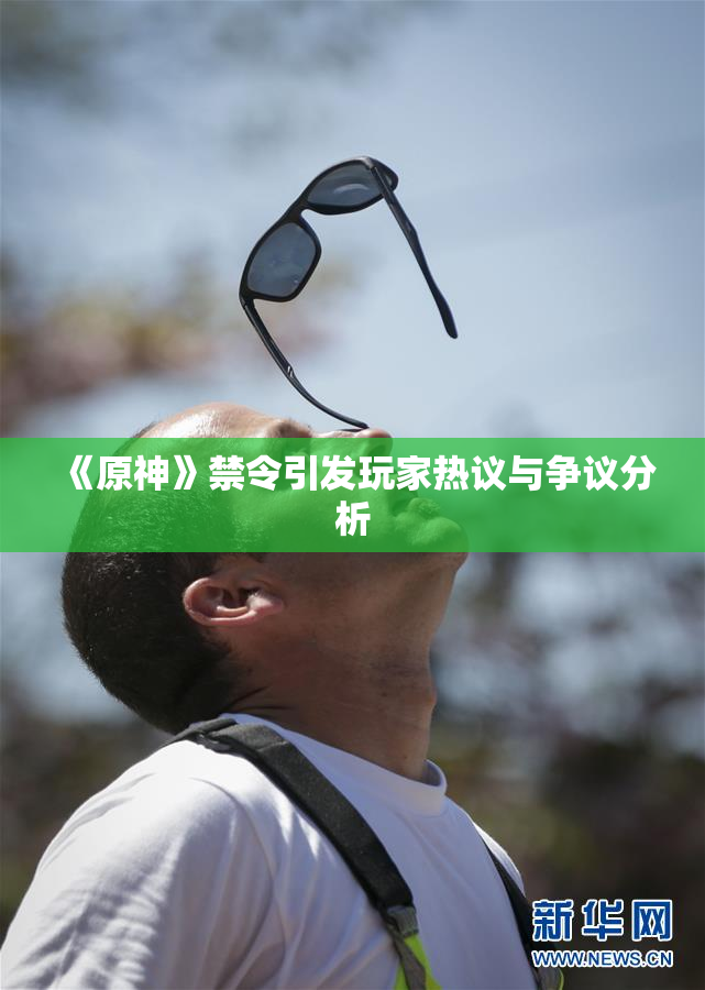 《原神》禁令引发玩家热议与争议分析
