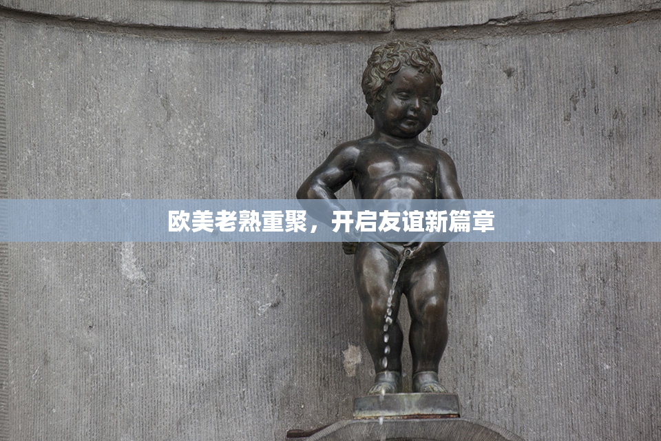 欧美老熟重聚，开启友谊新篇章