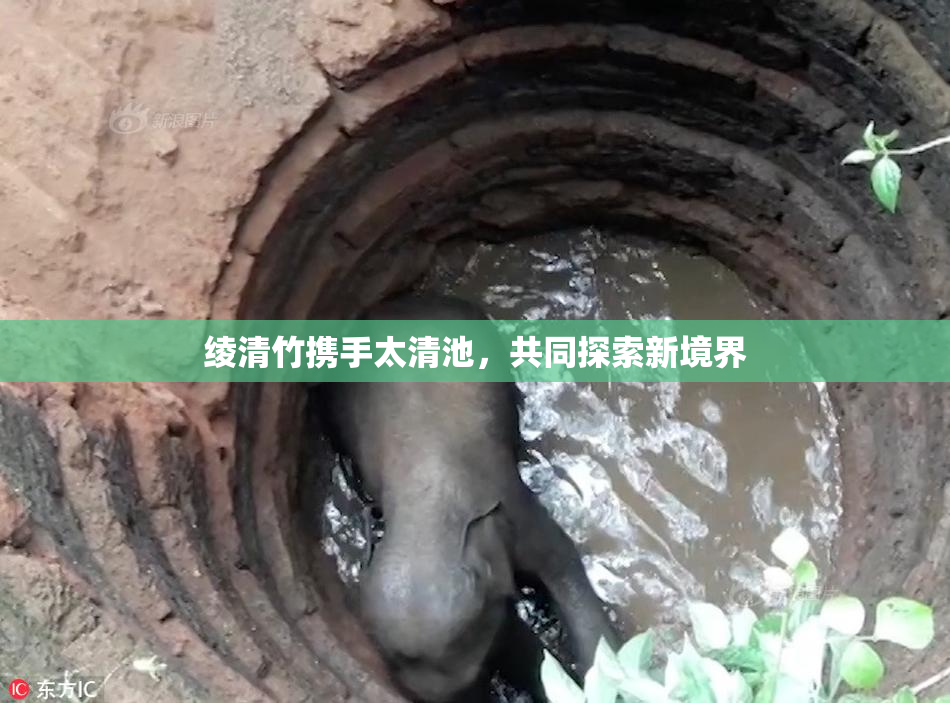 绫清竹携手太清池，共同探索新境界