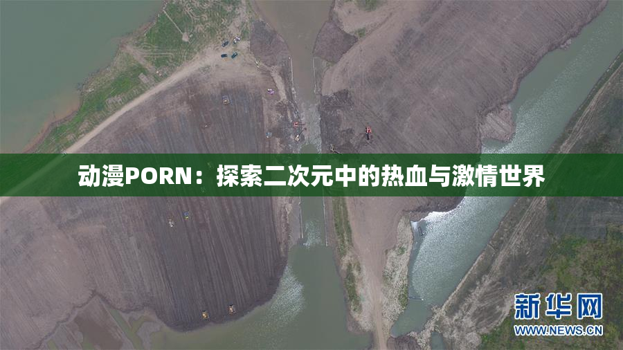 动漫PORN：探索二次元中的热血与激情世界