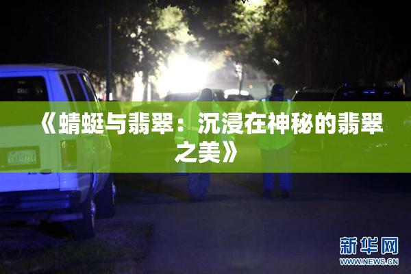 《蜻蜓与翡翠：沉浸在神秘的翡翠之美》