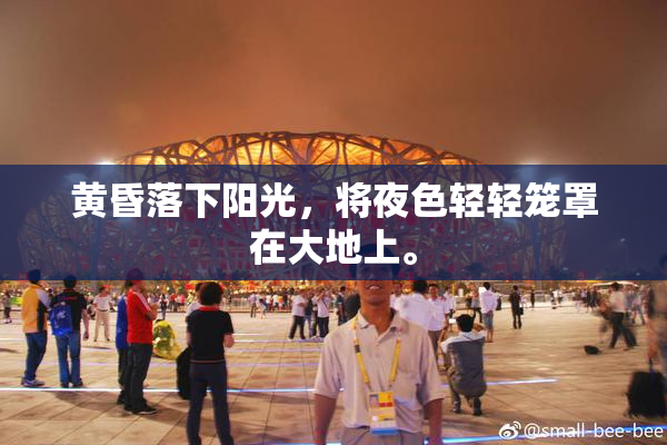 黄昏落下阳光，将夜色轻轻笼罩在大地上。