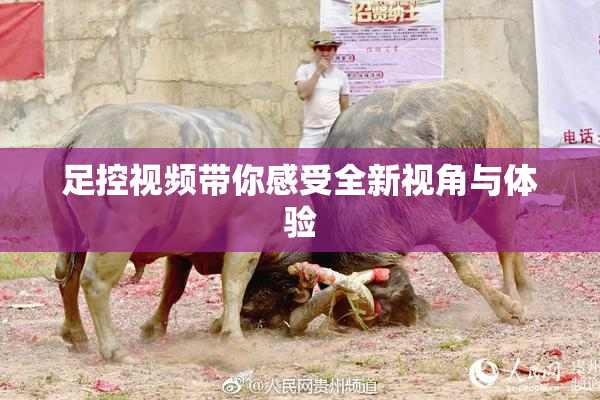 足控视频带你感受全新视角与体验