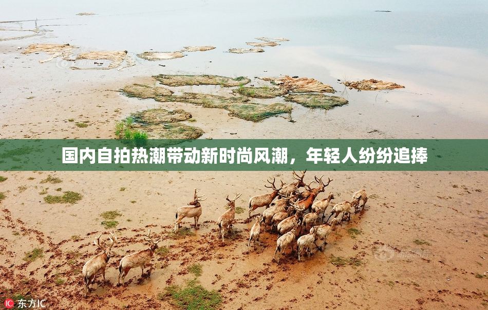 国内自拍热潮带动新时尚风潮，年轻人纷纷追捧