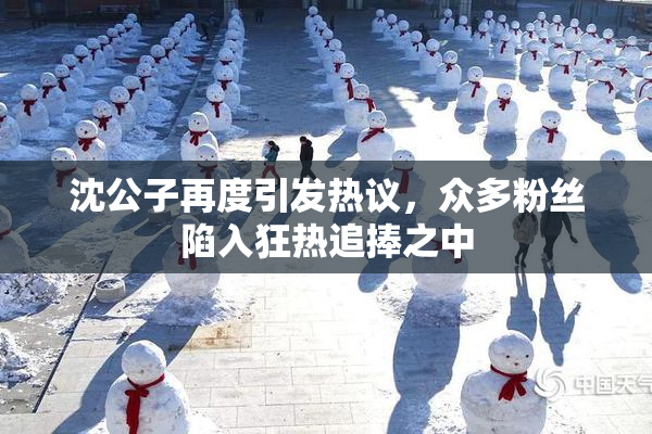 沈公子再度引发热议，众多粉丝陷入狂热追捧之中
