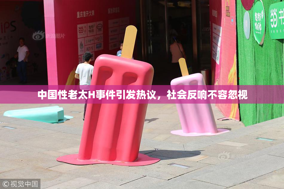 中国性老太H事件引发热议，社会反响不容忽视