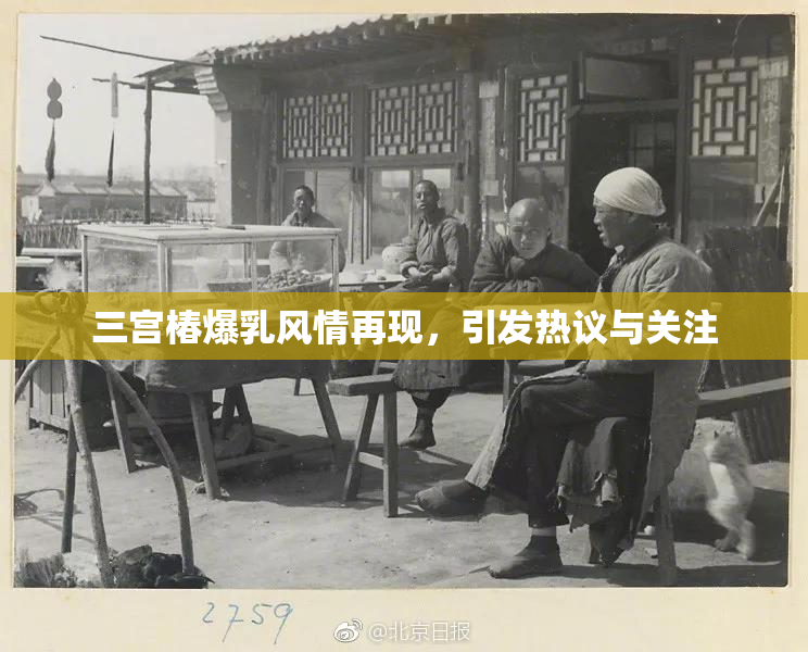 三宫椿爆乳风情再现，引发热议与关注