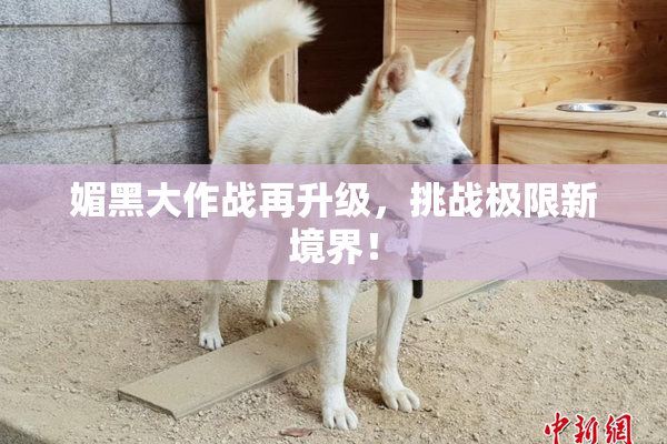 媚黑大作战再升级，挑战极限新境界！