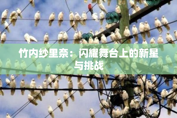 竹内纱里奈：闪耀舞台上的新星与挑战