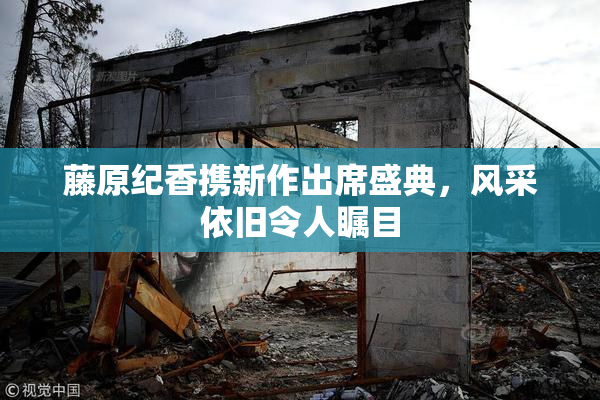 藤原纪香携新作出席盛典，风采依旧令人瞩目