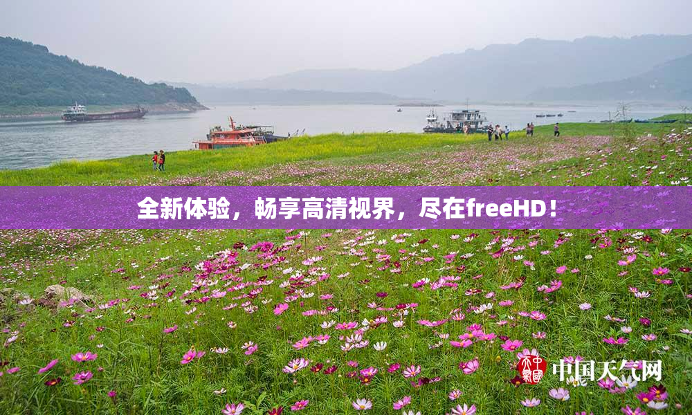 全新体验，畅享高清视界，尽在freeHD！