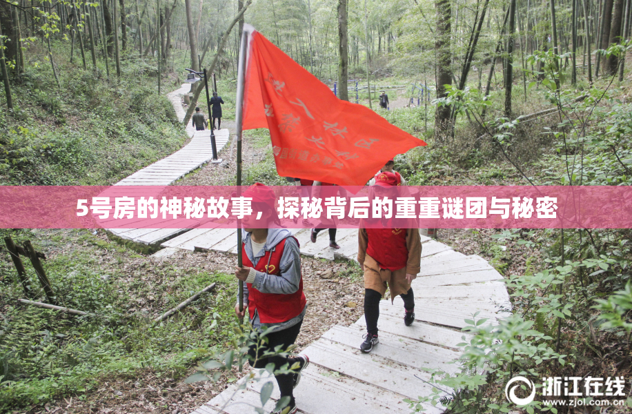 5号房的神秘故事，探秘背后的重重谜团与秘密