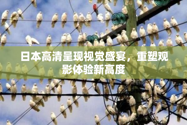 日本高清呈现视觉盛宴，重塑观影体验新高度