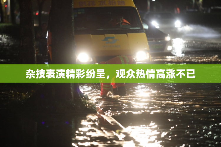 杂技表演精彩纷呈，观众热情高涨不已