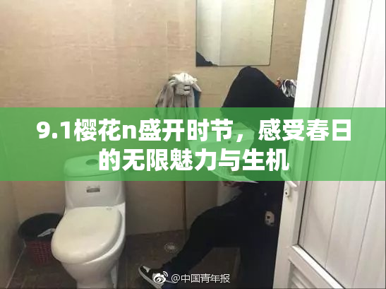 9.1樱花n盛开时节，感受春日的无限魅力与生机