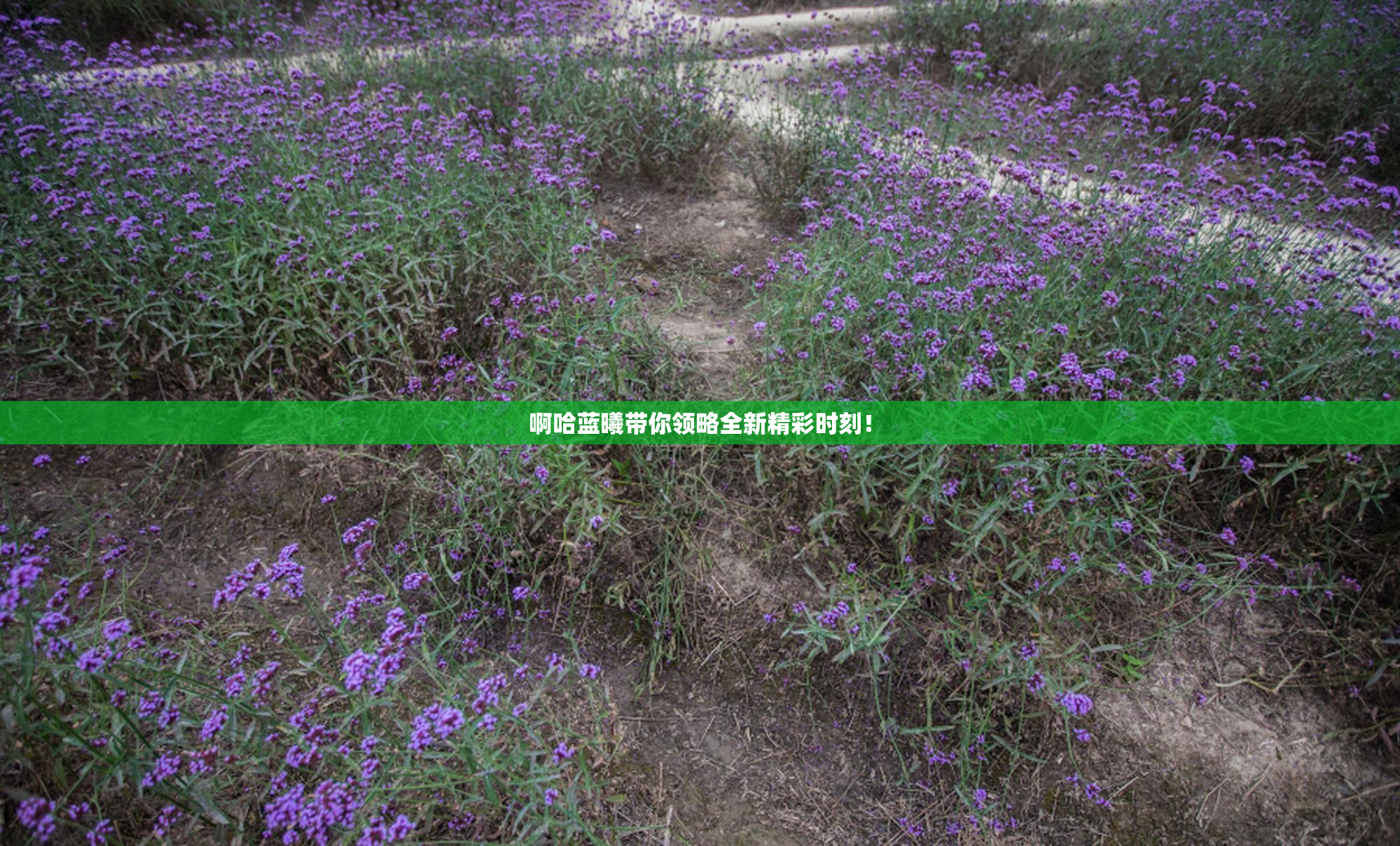 啊哈蓝曦带你领略全新精彩时刻！