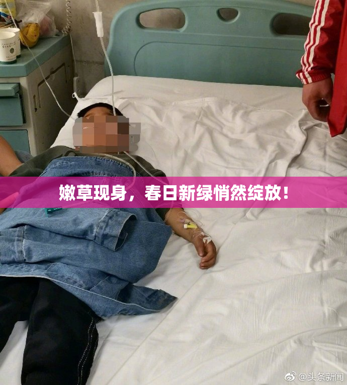 嫩草现身，春日新绿悄然绽放！