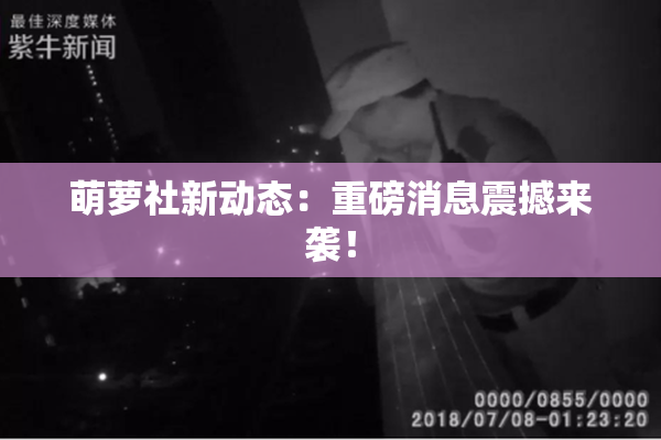 萌萝社新动态：重磅消息震撼来袭！