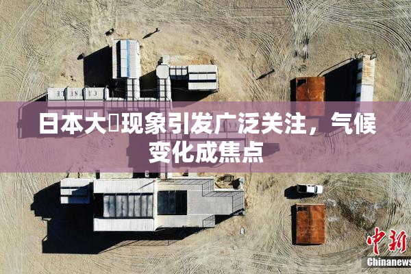 日本大隂现象引发广泛关注，气候变化成焦点