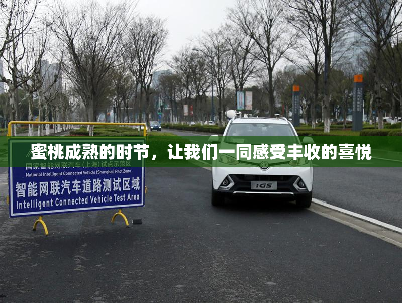 蜜桃成熟的时节，让我们一同感受丰收的喜悦