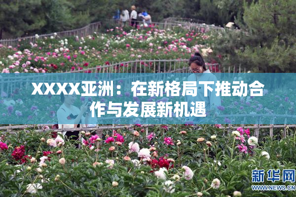 XXXX亚洲：在新格局下推动合作与发展新机遇