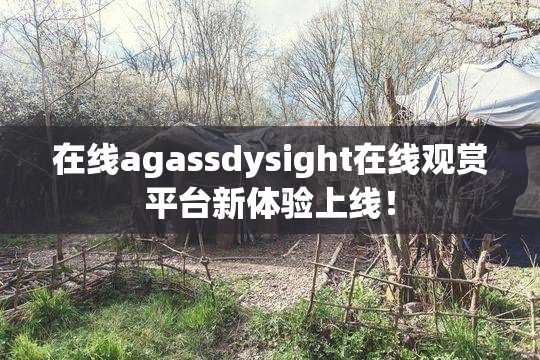 在线agassdysight在线观赏平台新体验上线！
