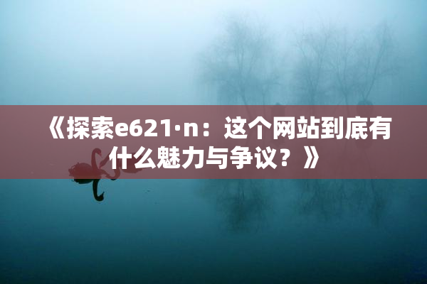 《探索e621·n：这个网站到底有什么魅力与争议？》