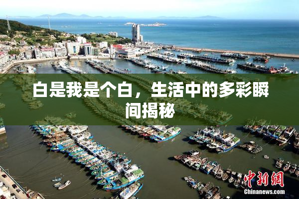 白是我是个白，生活中的多彩瞬间揭秘