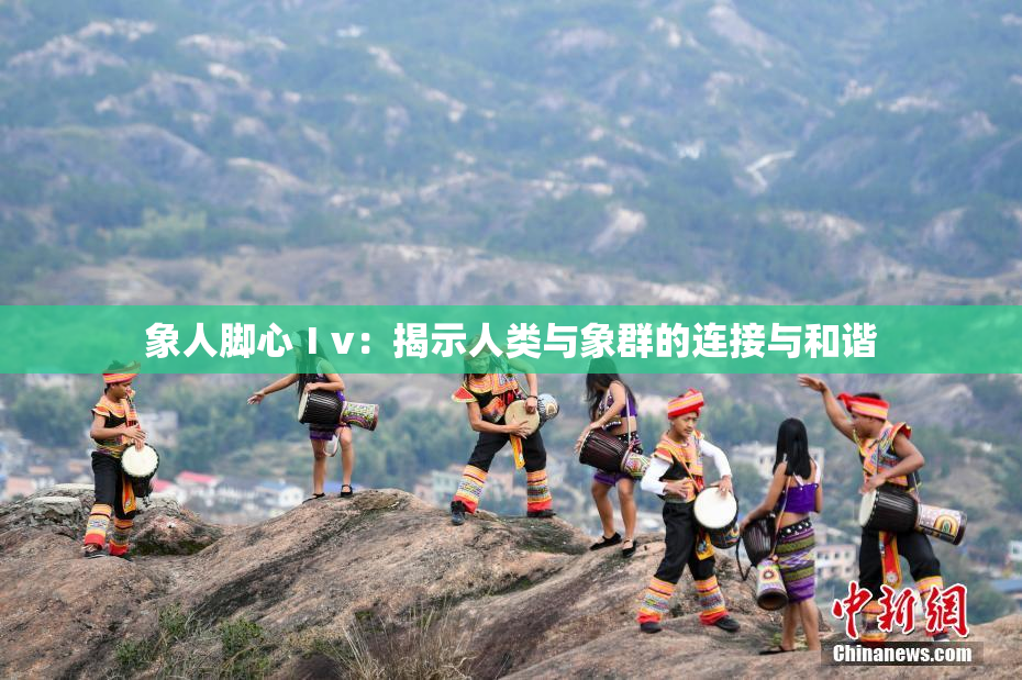 象人脚心Ⅰv：揭示人类与象群的连接与和谐