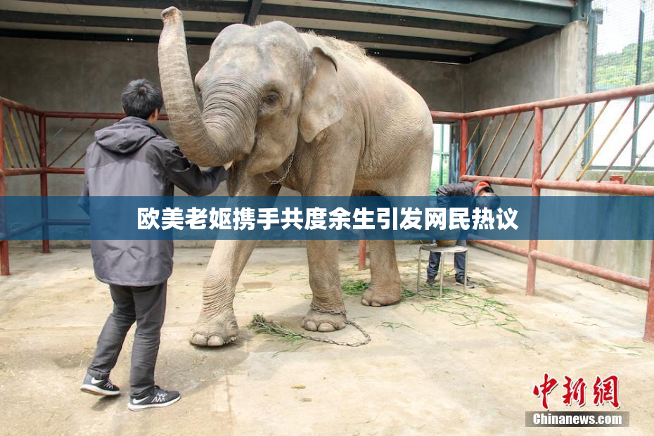 欧美老妪携手共度余生引发网民热议