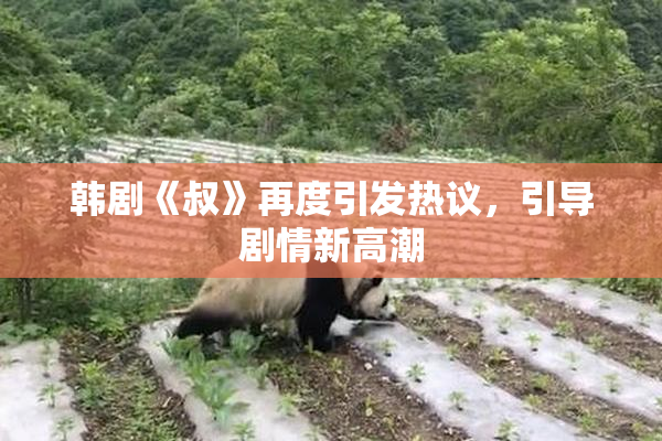 韩剧《叔》再度引发热议，引导剧情新高潮