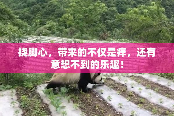 挠脚心，带来的不仅是痒，还有意想不到的乐趣！