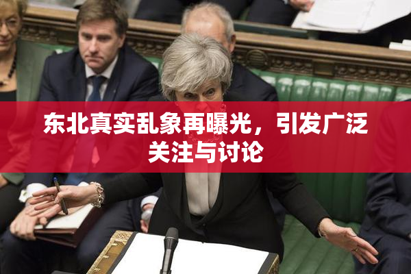 东北真实乱象再曝光，引发广泛关注与讨论