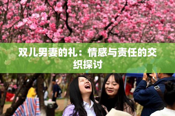 双儿男妻的礼：情感与责任的交织探讨