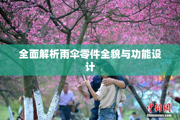 全面解析雨伞零件全貌与功能设计