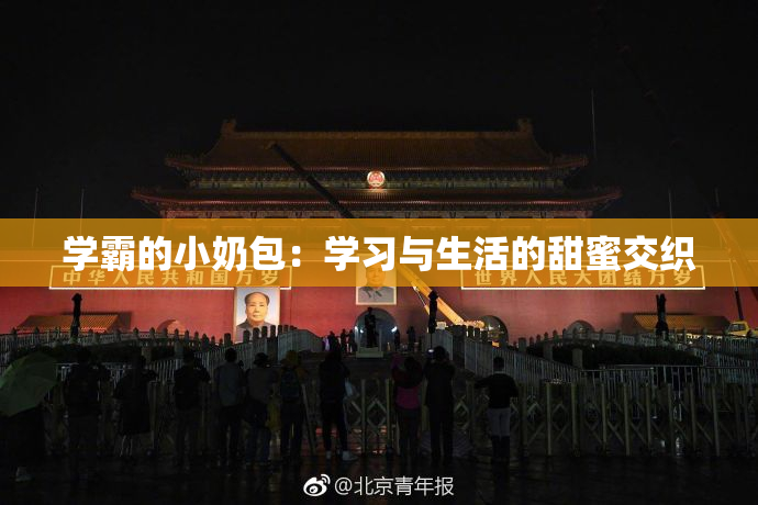 学霸的小奶包：学习与生活的甜蜜交织