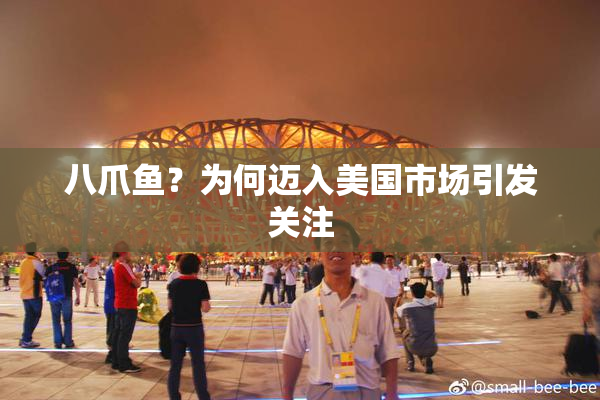 八爪鱼？为何迈入美国市场引发关注
